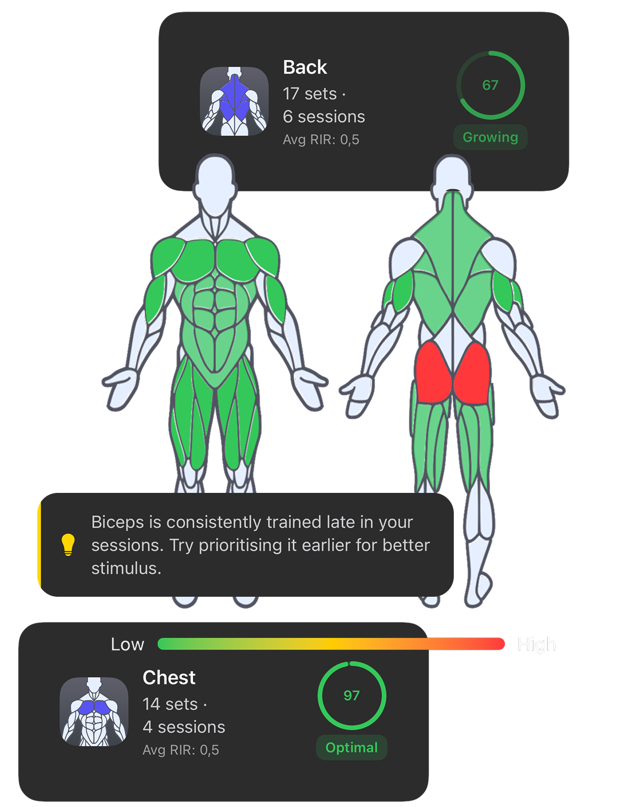 Muscle heatmap with per-group status and a training insight